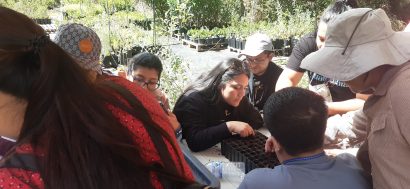 DnD: Jovens peregrinos realizam Missão Ambiental